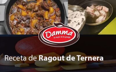 Receta de Ragout de Ternera