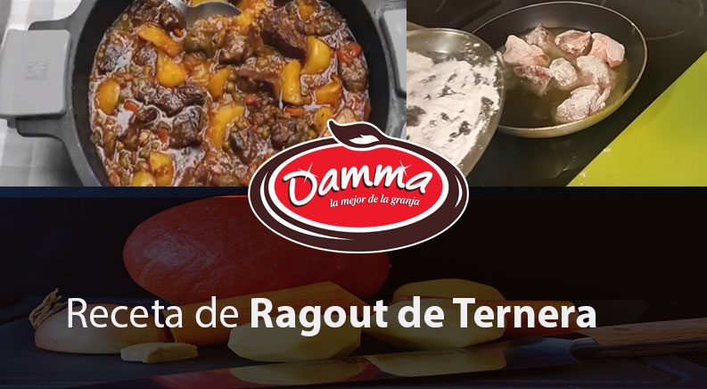 Receta de Ragout de Ternera